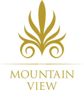 Mountain View - developer